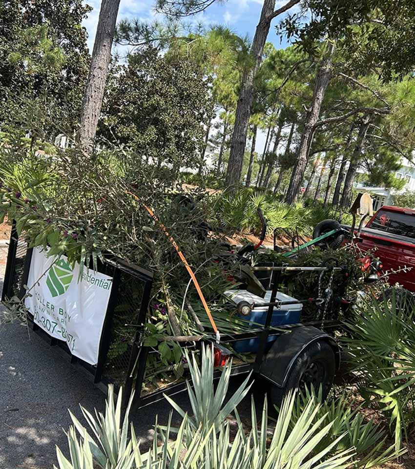 holler boy lawn care 2